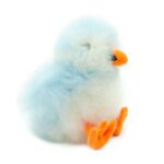 HEIÐBLÁ - Fluffy Fluffin – Handmade Collectible Figure – Icelandic Puffin