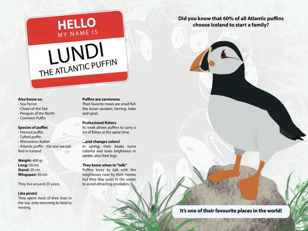 LUNDI means puffin - ready2