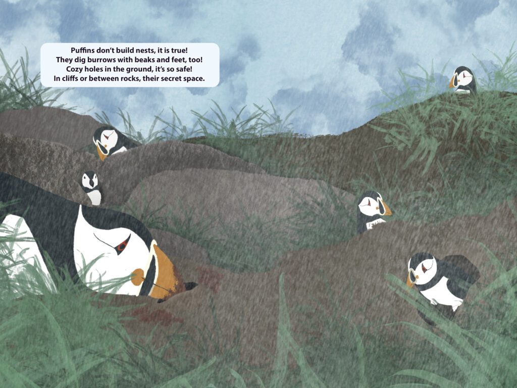 LUNDI means puffin - ready3