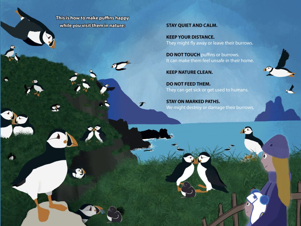LUNDI means puffin - ready5
