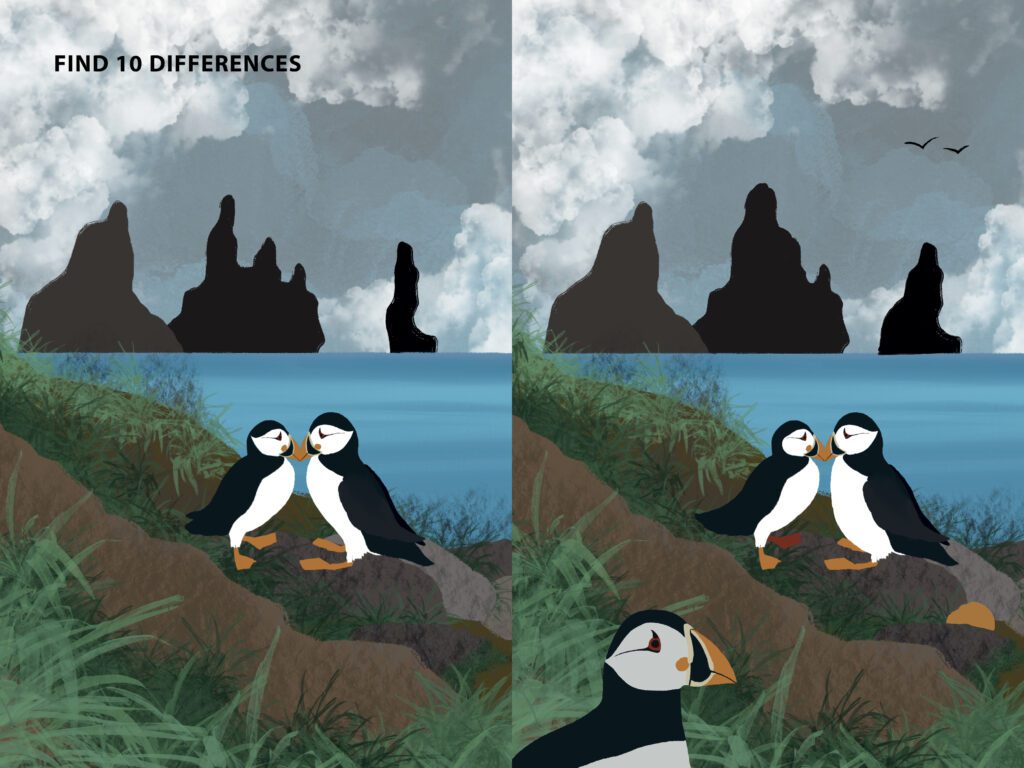 LUNDI means puffin - ready6