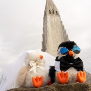 PACK | Forever Together - Wedding (2 Loðvinir Friends + 4 Accesories)