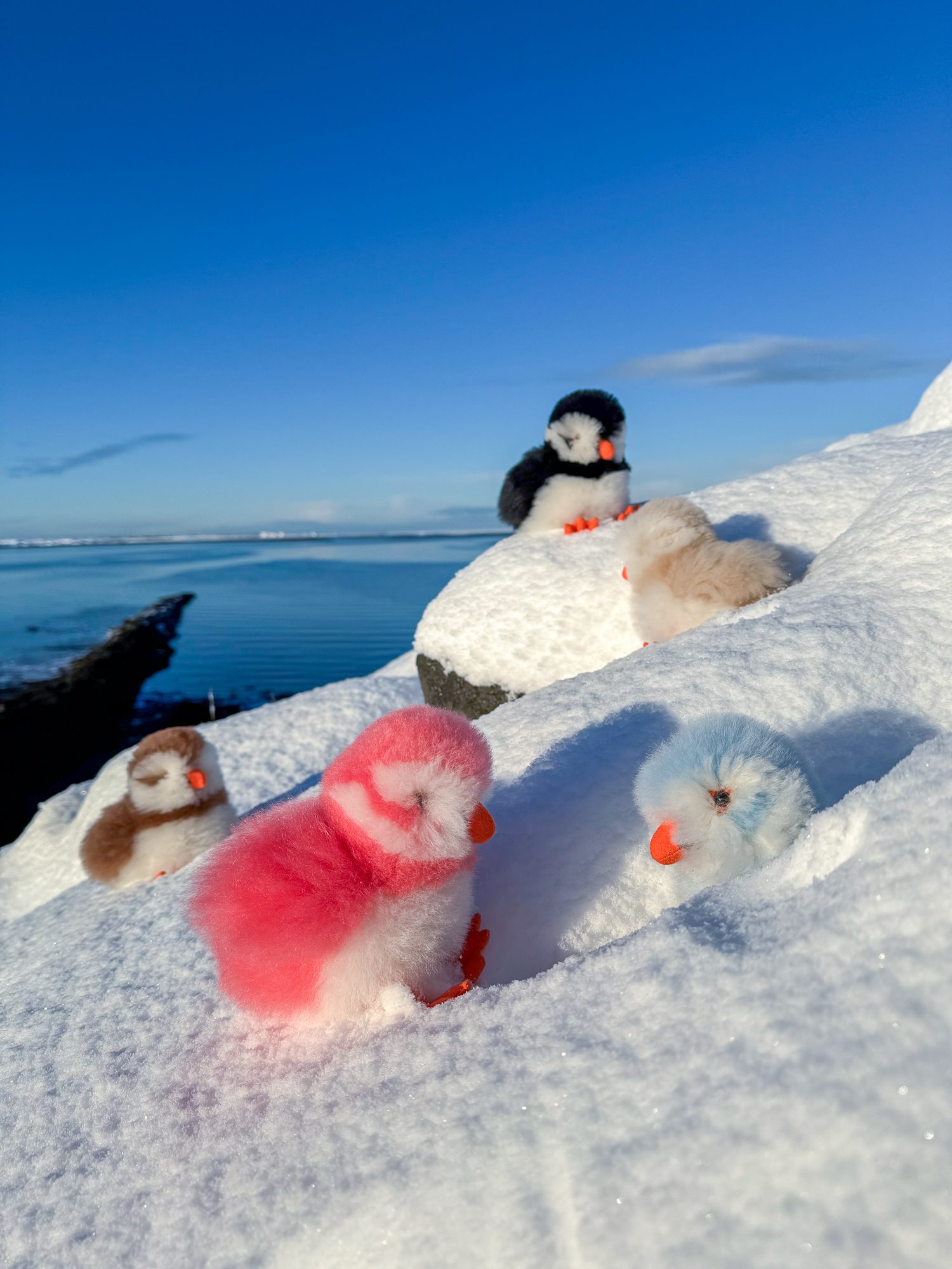 Multiple LOÐVINIR plush toys in various colors sitting together on the snow