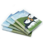 Lundi means puffin - Illustrated book with activities