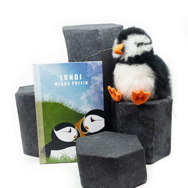 Hardcover LUNDI MEANS PUFFIN activity book next to LOÐVINIR puffin plush souvenir from Iceland