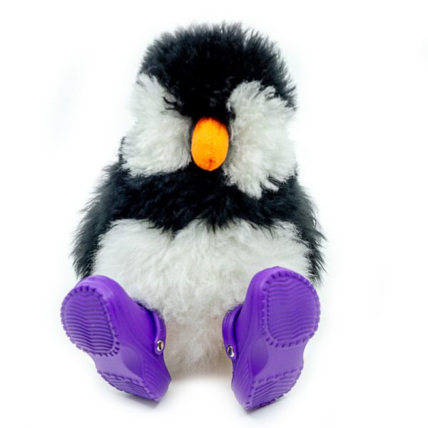 Shoes | Crocs - Image 6