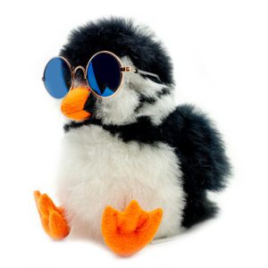 Glasses | Sunglasses Gold Frame