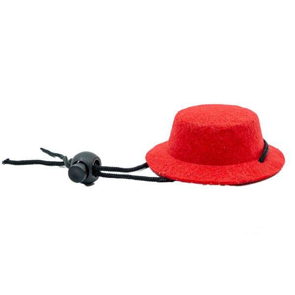 Hat | Classic - Image 5