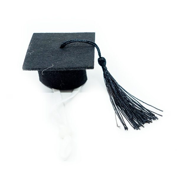 SET | Student: Glasses + Graduation Hat | ONLY ACCESORIES - Image 3