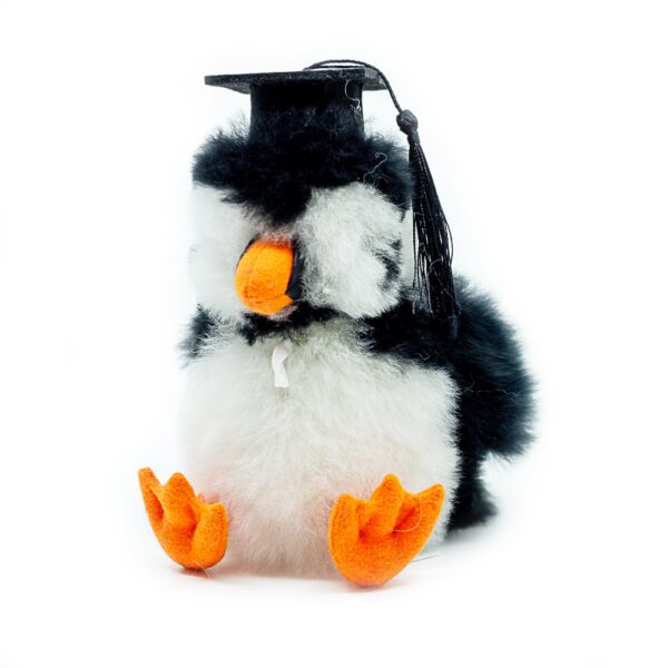Hat | Graduation - Image 3