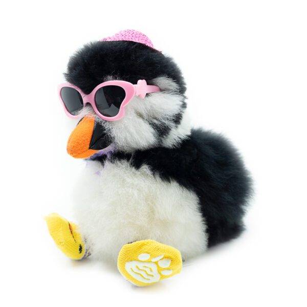 SET | RANDOM: 4 accesories - Image 2