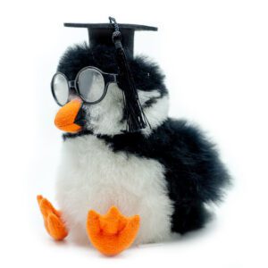 SET | Student: Glasses + Graduation Hat | ONLY ACCESORIES