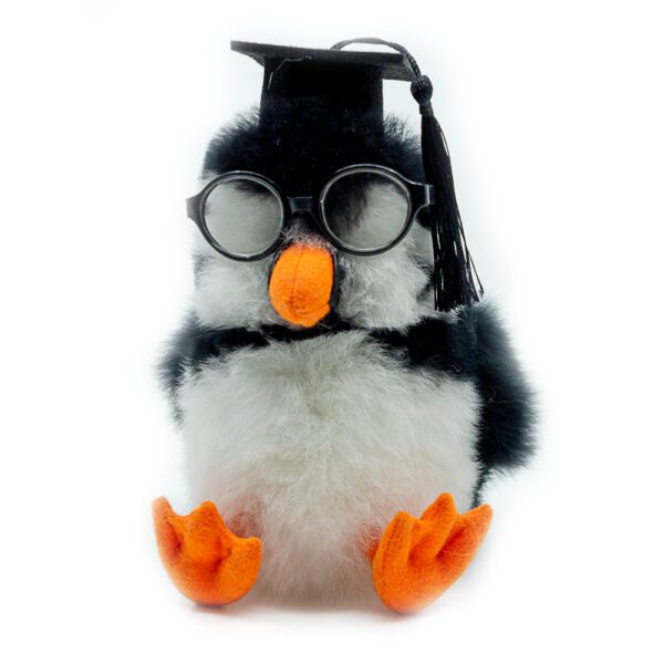 SET | Student: Glasses + Graduation Hat | ONLY ACCESORIES - Image 2