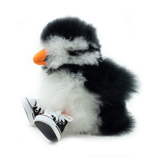Shoes | Converse - Image 6