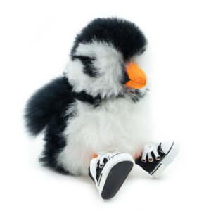 Shoes | Converse