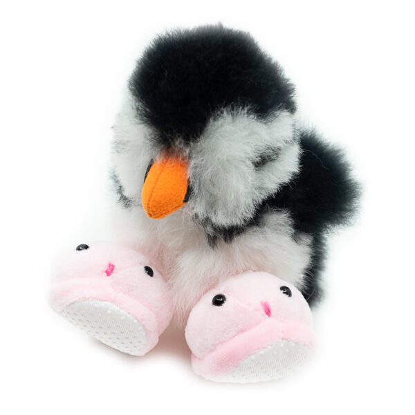 Shoes | Bunny Home