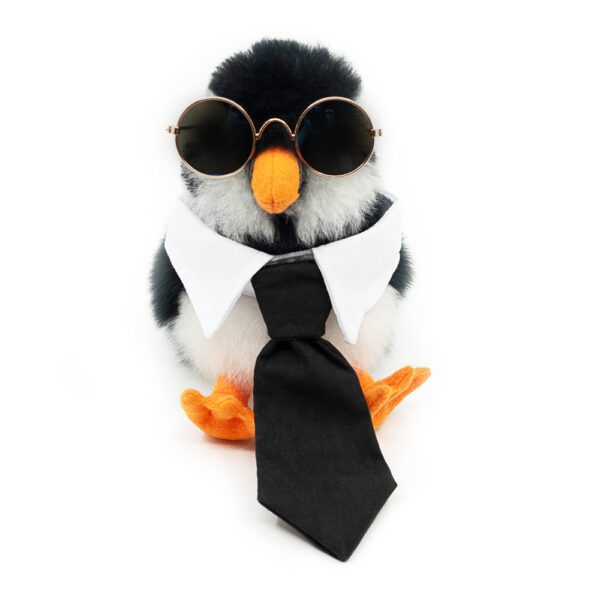 SET | Smart One: Tie + Sunglasses | ONLY ACCESORIES