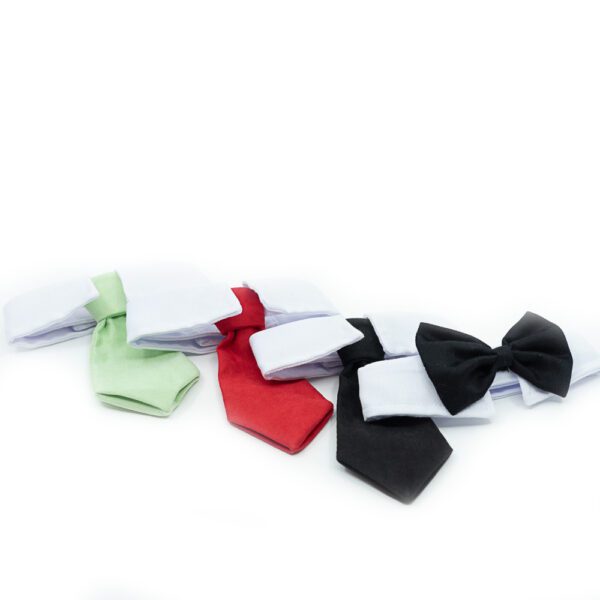 Tie | Smart Collar with tie - Image 2