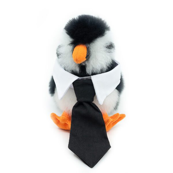 Tie | Smart Collar with tie - Image 7