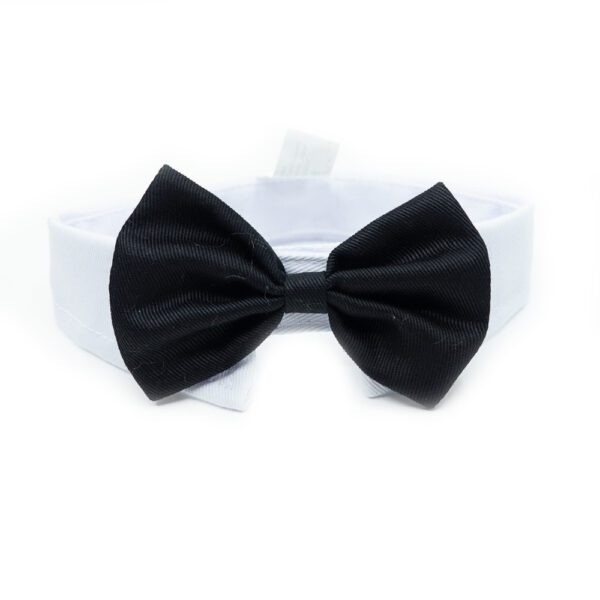 Bow Tie | Classic - Image 3
