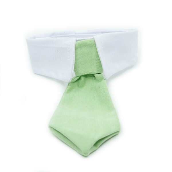 Tie | Smart Collar with tie - Image 6