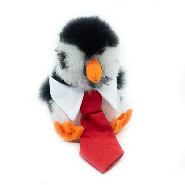 Tie | Smart Collar with tie - Image 4