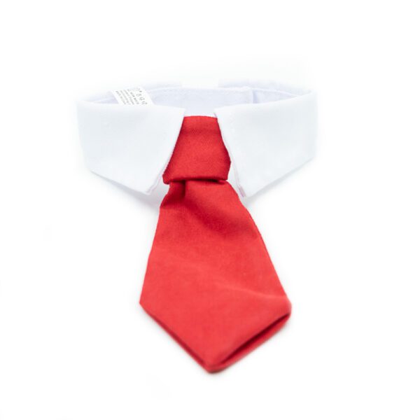 Tie | Smart Collar with tie - Image 3