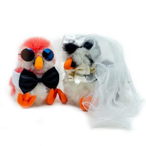 Set | Forever Together | ONLY ACCESORIES