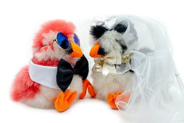 Set | Forever Together | ONLY ACCESORIES - Image 3