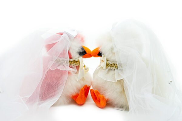 Set | Forever Together | ONLY ACCESORIES - Image 7