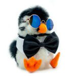SET | The Classic: Sunglasses + Bow tie | ONLY ACCESORIES