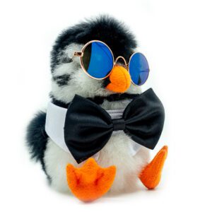SET | The Classic: Sunglasses + Bow tie | ONLY ACCESORIES