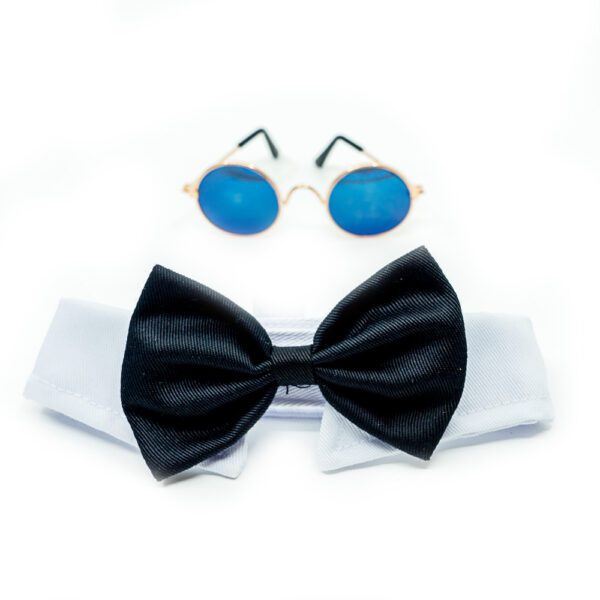 SET | The Classic: Sunglasses + Bow tie | ONLY ACCESORIES - Image 4