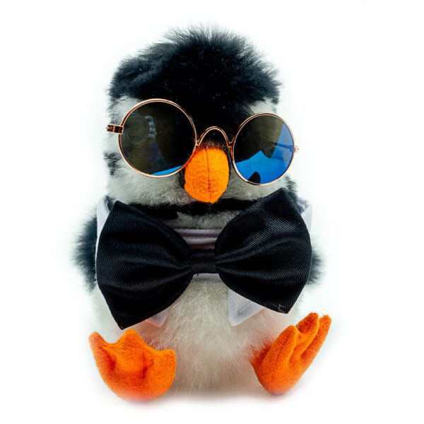 SET | The Classic: Sunglasses + Bow tie | ONLY ACCESORIES - Image 3