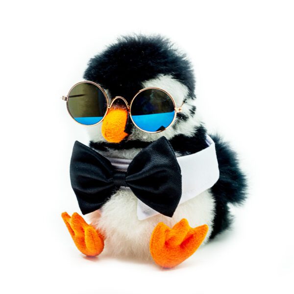 SET | The Classic: Sunglasses + Bow tie | ONLY ACCESORIES - Image 2