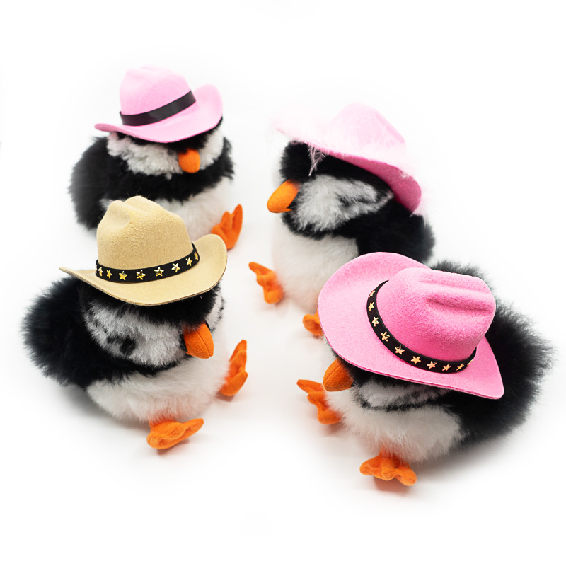 cowboys_9