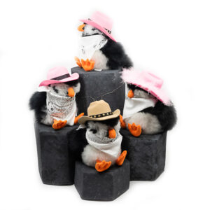 SET | Yeehaw! Western time: Hat + Scarf