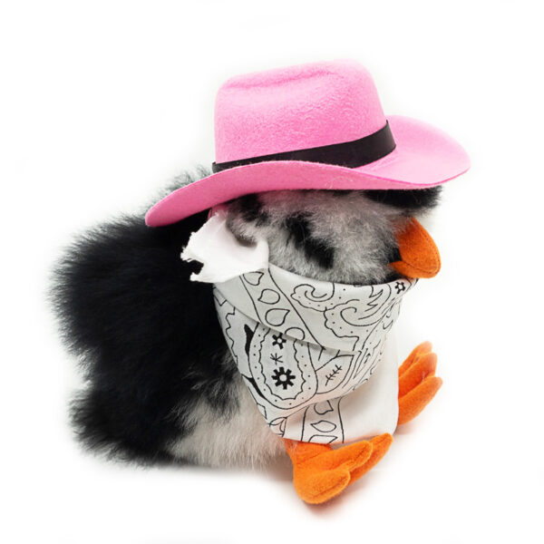 SET | Yeehaw! Western time: Hat + Scarf - Image 5