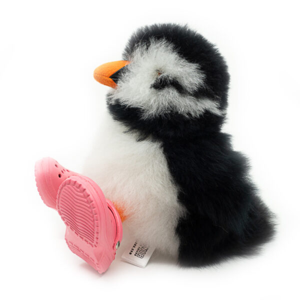 Shoes | Crocs - Image 12