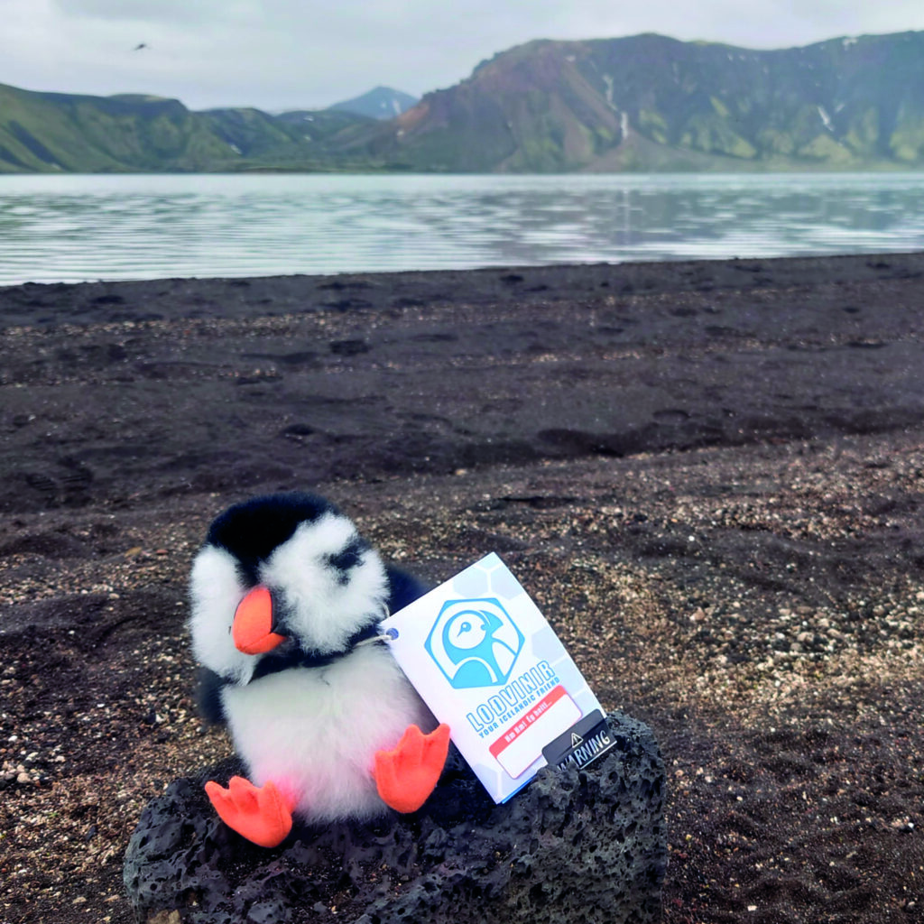 LODVINIR puffin plush toy posing in the colorful Rainbow Mountains of Landmannalaugar, Iceland