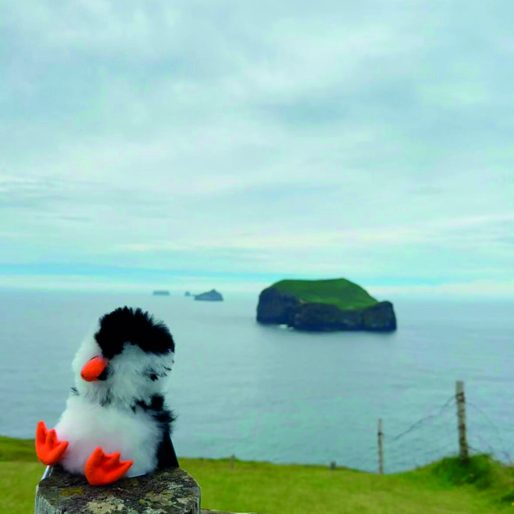 LODVINIR puffin plush toy exploring Heimaey Island in the Westman Islands, Iceland