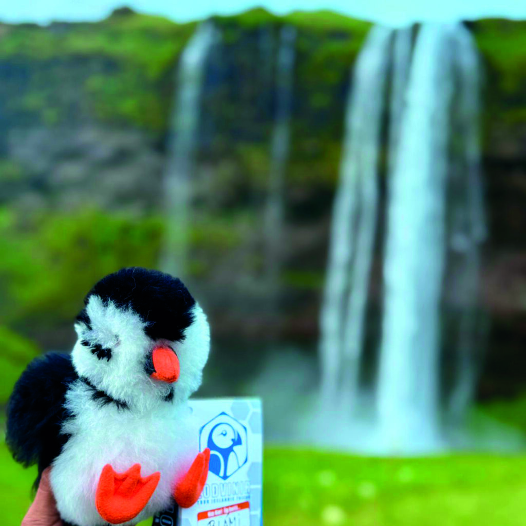 LODVINIR puffin plush toy sitting on Elephant Rock, Vestmannaeyjar, Iceland