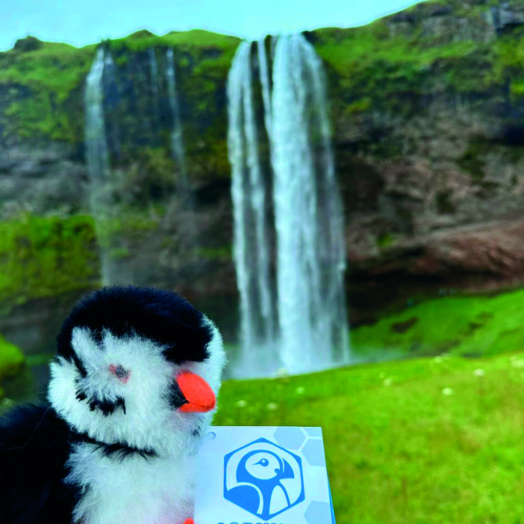 LOÐVINIR Puffin Plush at Skógafoss Waterfall, Iceland LODVINIR puffin plush toy standing near Skógafoss waterfall in Iceland