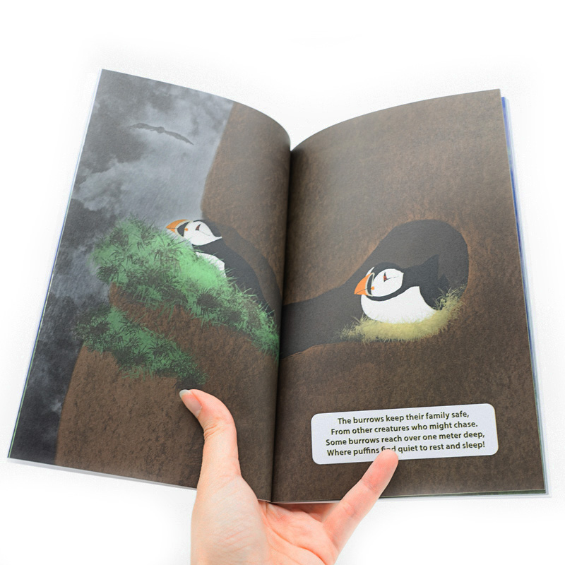 book_7