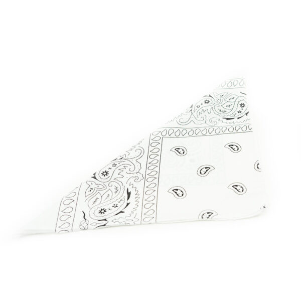 SET | Bad Guy: Bandana + Dollar Necklace - Image 4