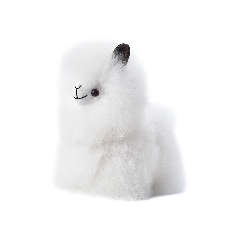 ALPACA BIG HEAD - Warmpaca - Image 4