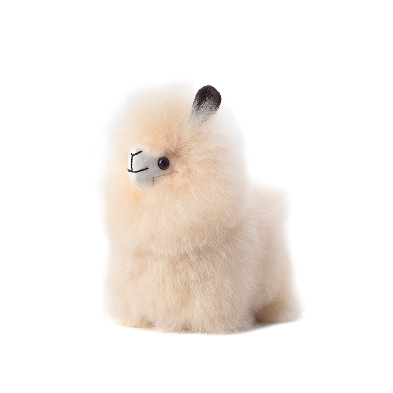 ALPACA BIG HEAD - Warmpaca - Image 3