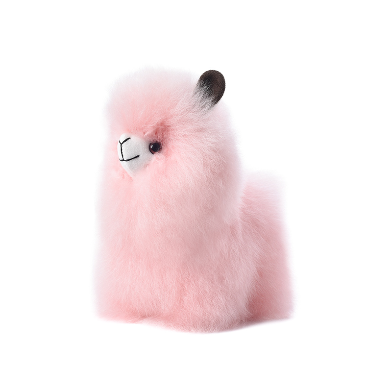 ALPACA BIG HEAD - Warmpaca - Image 2