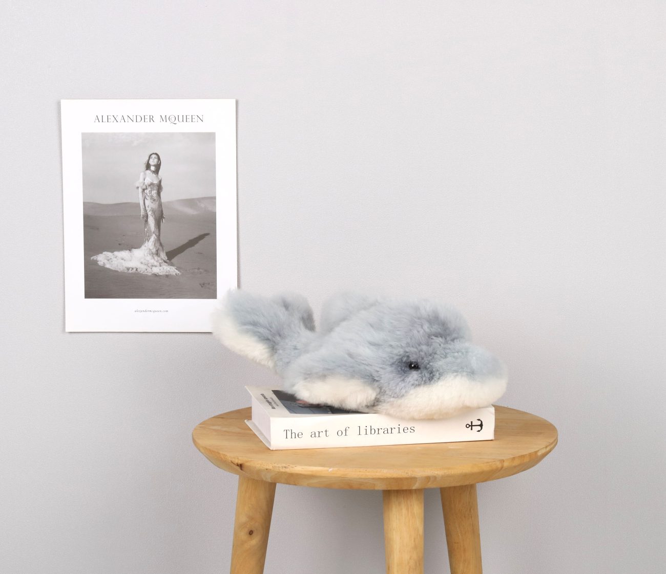 DOLPHIN - Warmpaca - Image 4