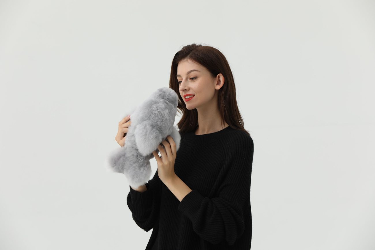 DOLPHIN - Warmpaca - Image 2